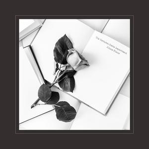 av片永久免费全集在线观看
